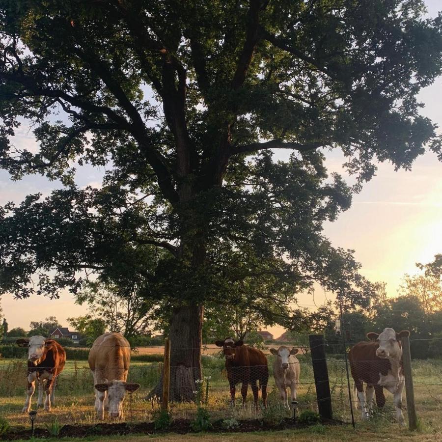 Church Farm Bed & Breakfast Thurlton ภายนอก รูปภาพ